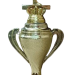 TROPHY:YOGA DAY SPECIAL 14″
