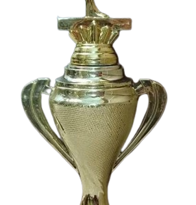 TROPHY:YOGA DAY SPECIAL 14″