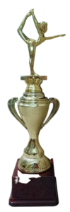 TROPHY:YOGA DAY SPECIAL 14"